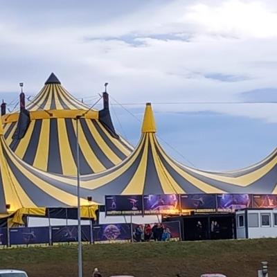 Erfurt Weihnachtszirkus Vorschau