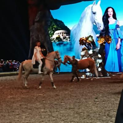 Whatsapp Image 2026 04 20 At 08.05.27